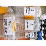  [Ko tem] Nước Hoa Libre EDP 10ML (Chiết) 