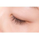  [Mất Hộp] Dưỡng Mi Plus (Eyelash Vitalizer – Ban Ngày) 