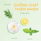  [Date 11/25] Bộ Đôi Dầu Gội Xả Sạch Dầu Mát Lạnh Phục Hồi Tsubaki Premium Cool 490ml 