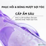  Bộ Gội Xả L'Oreal Tóc Phồng Bồng Bềnh Cho Da Đầu Khô 