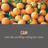  [Mai Lan]  Bọt Tạo Kiểu Giúp Định Hình Lọn Xoăn KMS Curlup Wave Foam 