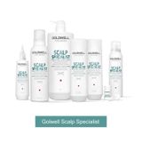  [Mai Lan]  Dầu Gội Trị Gàu Sạch Sâu Goldwell Dualsenses Scalp Specialist 