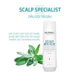  [Mai Lan]  Dầu Gội Trị Gàu Sạch Sâu Goldwell Dualsenses Scalp Specialist 