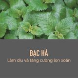  Bọt Tạo Kiểu Giúp Định Hình Lọn Xoăn KMS Curlup Wave Foam 