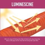  Dầu Hấp Dưỡng Màu Tóc Nhuộm Goldwell Color Extra Rich 