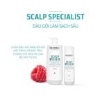  Dầu Gội Kiềm Dầu Làm Sạch Sâu Goldwell Deep Cleansing 