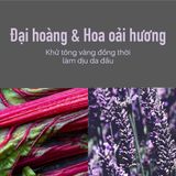  [Mai Lan]  Dầu Xả Tím Dành Cho Tóc Tẩy KMS Colorvitality Blonde Conditioner 