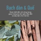  [Mai Lan]  Bọt Tạo Phồng Tóc Cung Cấp Độ Phồng Lên Đến 72 Giờ KMS Addvolume 