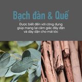  Bọt Tạo Kiểu Phồng Tóc KMS Addvolume Styling Foam 