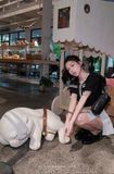  SET ÁO THỦY THỦ CHÂN VÁY SỌC - TH 