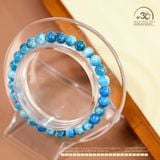  Vòng Tay Đá  Apatite 6mm 2A 