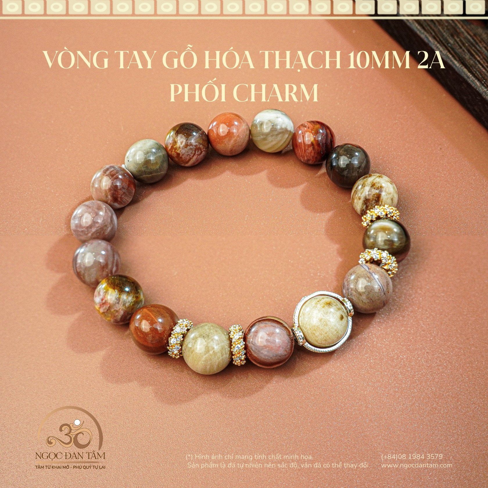  Vòng Tay Đá Gỗ Hóa Thạch 10mm 2A Phối Charm 