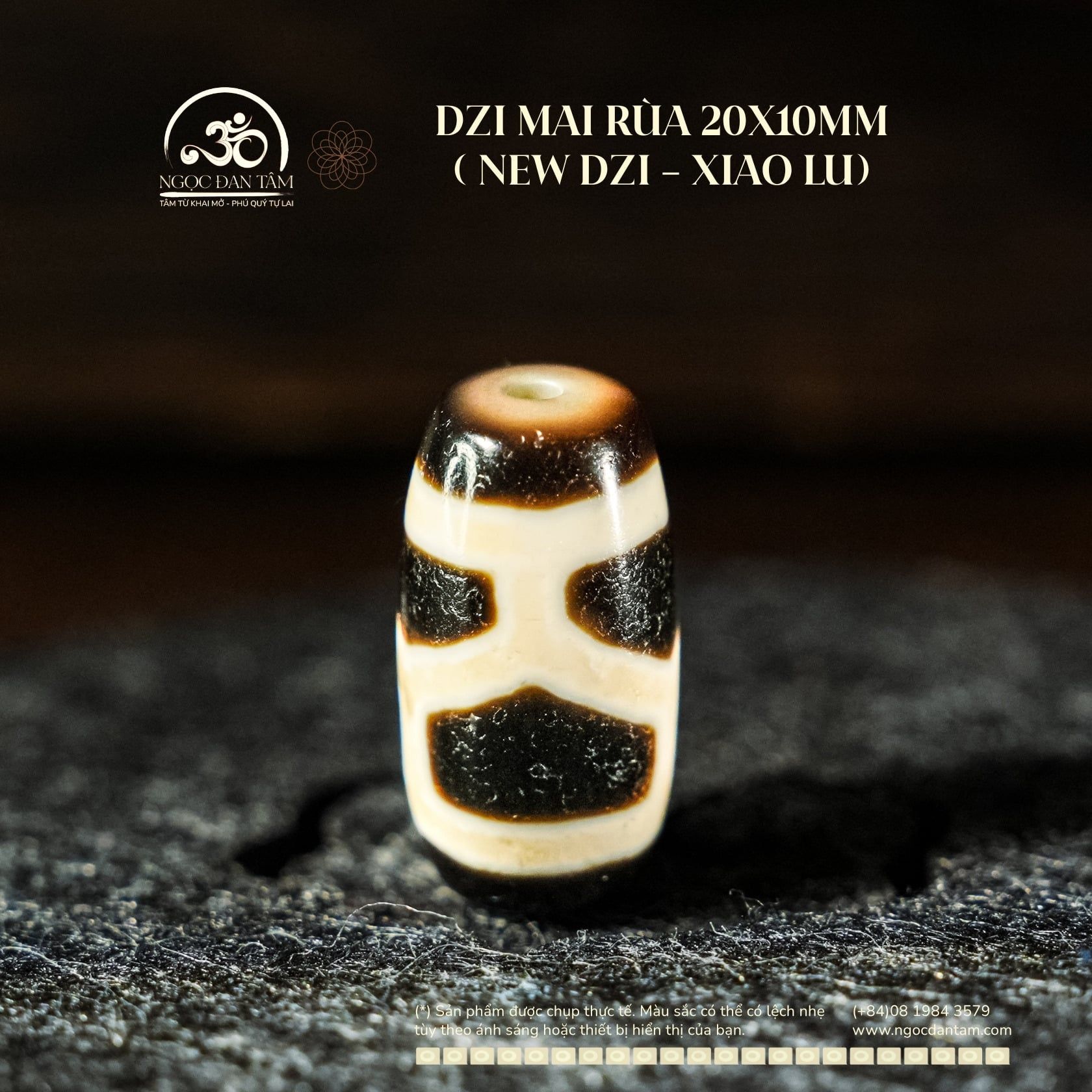  Dzi Mai Rùa 20x10mm (New Dzi - Xiao Lu) 