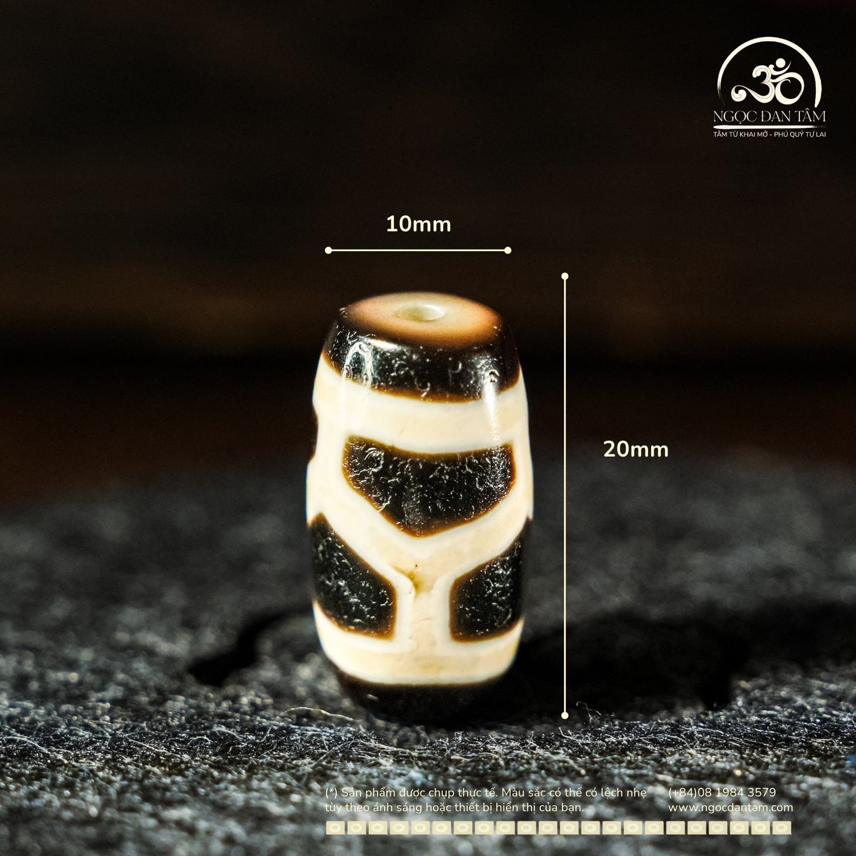  Dzi Mai Rùa 20x10mm (New Dzi - Xiao Lu) 