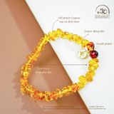  Vòng Tay Hổ Phách Phối Charm Đồng Tiền (50 Hạt -  5gram) 