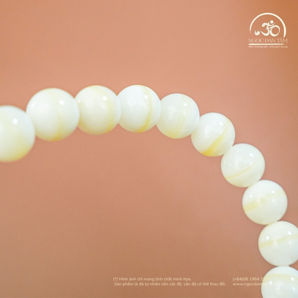  Vòng Tay Vỏ Sò Tai Tượng Phối Charm Lu Thống 