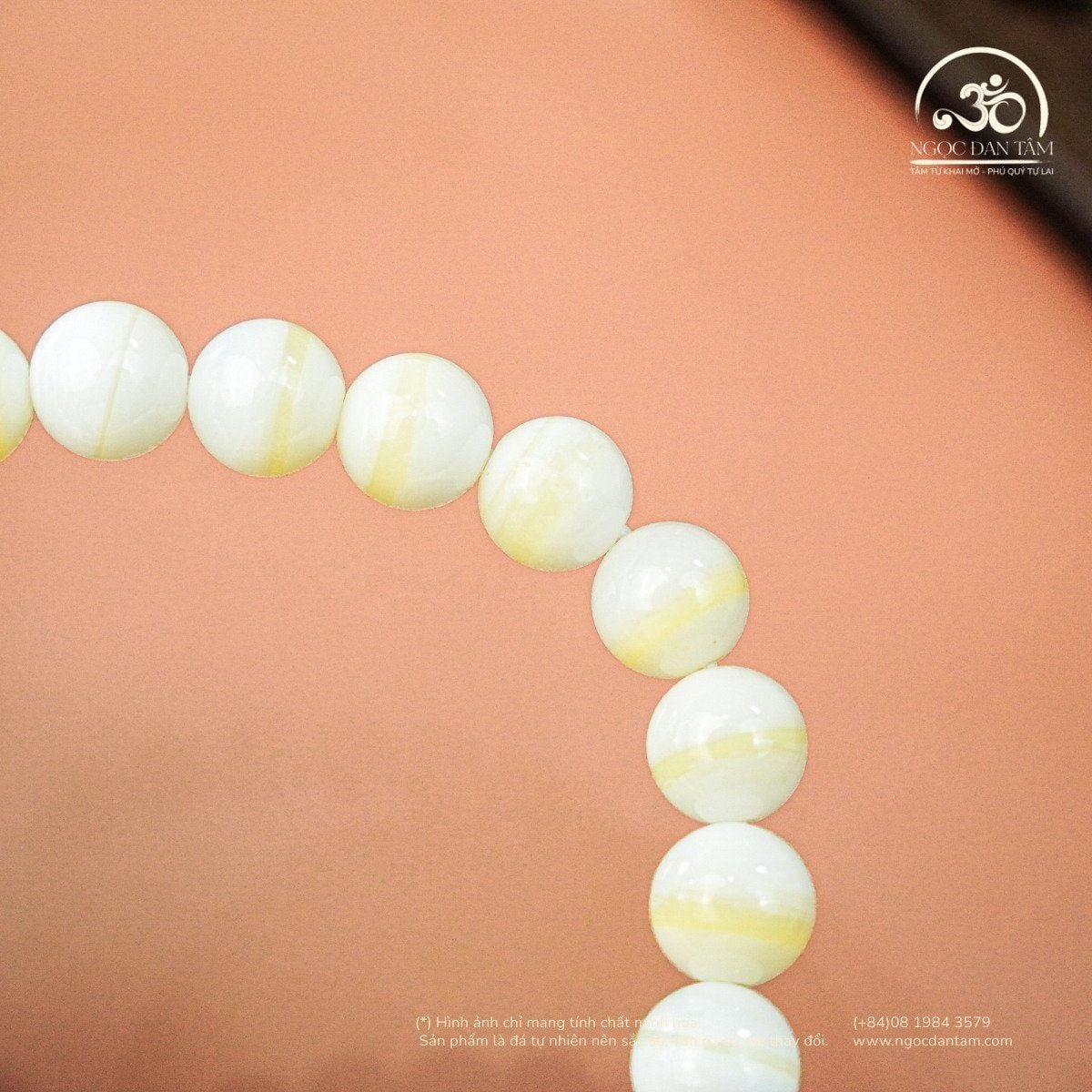  Vòng Tay Vỏ Sò Tai Tượng 3A - 8mm  Phối Charm 