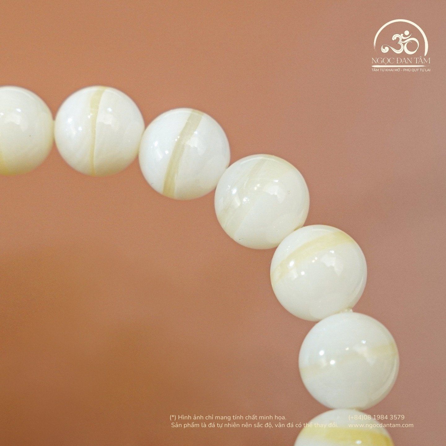  Vòng Tay Vỏ Sò Tai Tượng 3A 8mm 