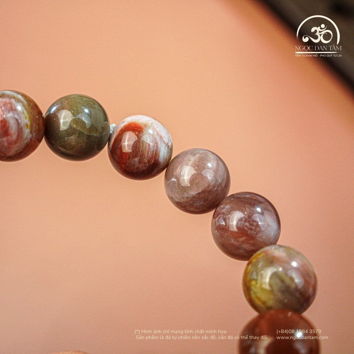  Vòng Tay Đá Gỗ Hóa Thạch 10mm 2A Phối Charm 