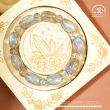  Vòng Tay Xà Cừ Lu Thống 10mm 5A 