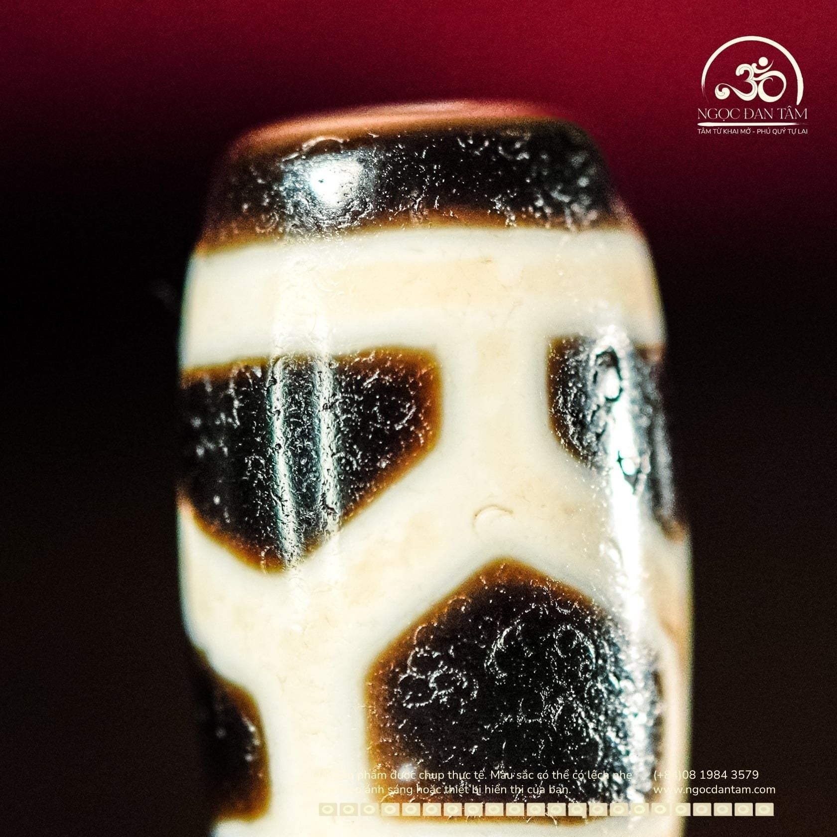  Dzi Mai Rùa 20x10mm (New Dzi - Xiao Lu) 