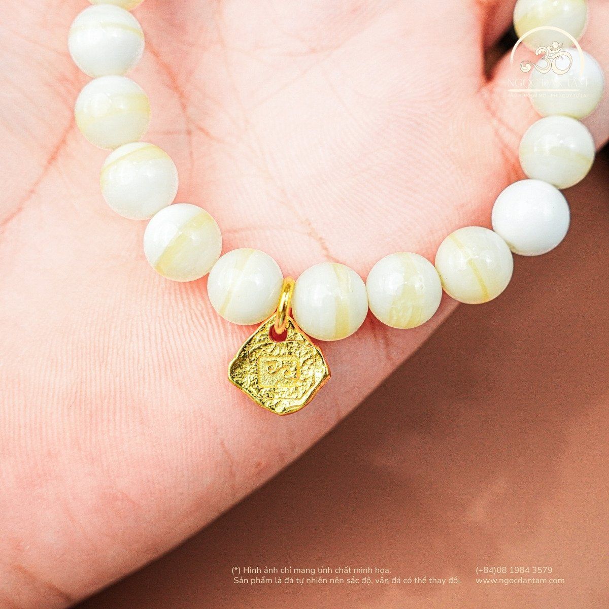  Vòng Tay Vỏ Sò Tai Tượng 3A - 8mm  Phối Charm 