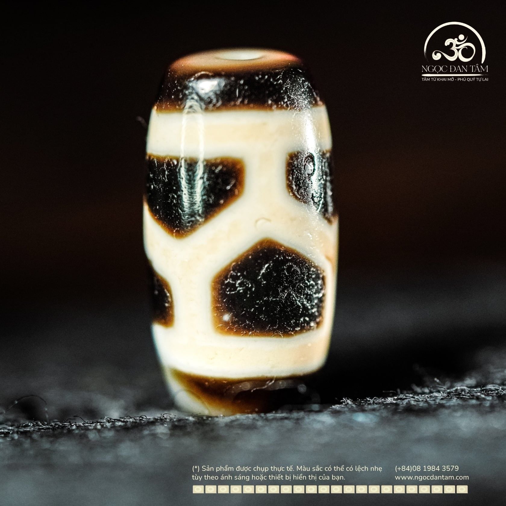  Dzi Mai Rùa 20x10mm (New Dzi - Xiao Lu) 
