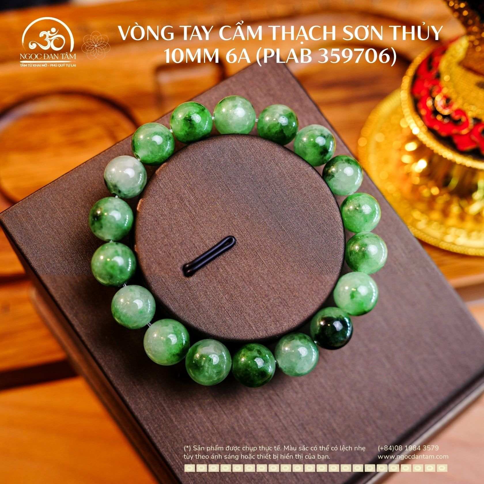  Vòng Tay Cẩm Thạch Sơn Thủy 10mm 6A (PLAB 359706) 