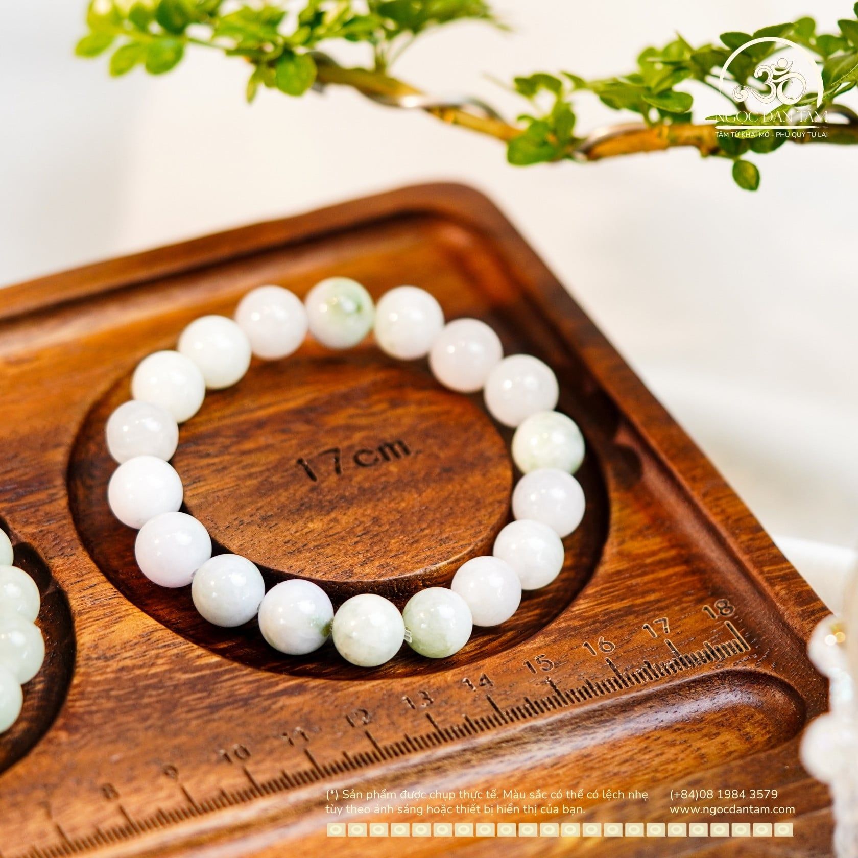  Vòng Tay Cẩm Thạch Sơn Thủy 10mm 6A (PLAB 359719) 