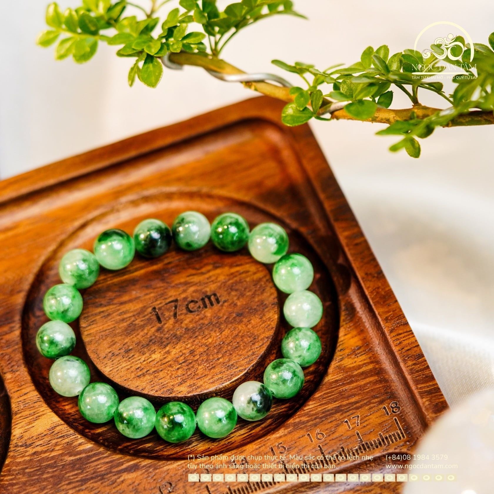  Vòng Tay Cẩm Thạch Sơn Thủy 10mm 6A (PLAB 359706) 