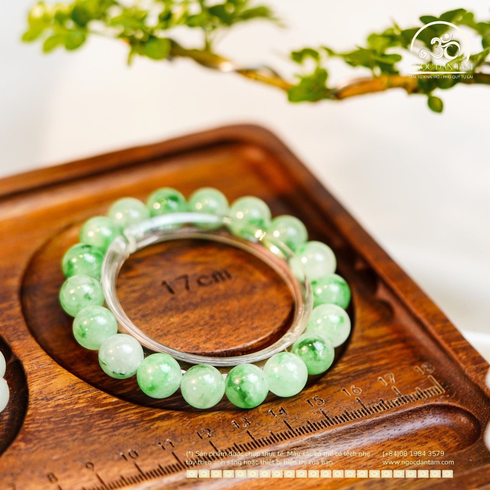  Vòng Tay Cẩm Thạch Sơn Thủy 10mm 6A (PLAB 359707) 