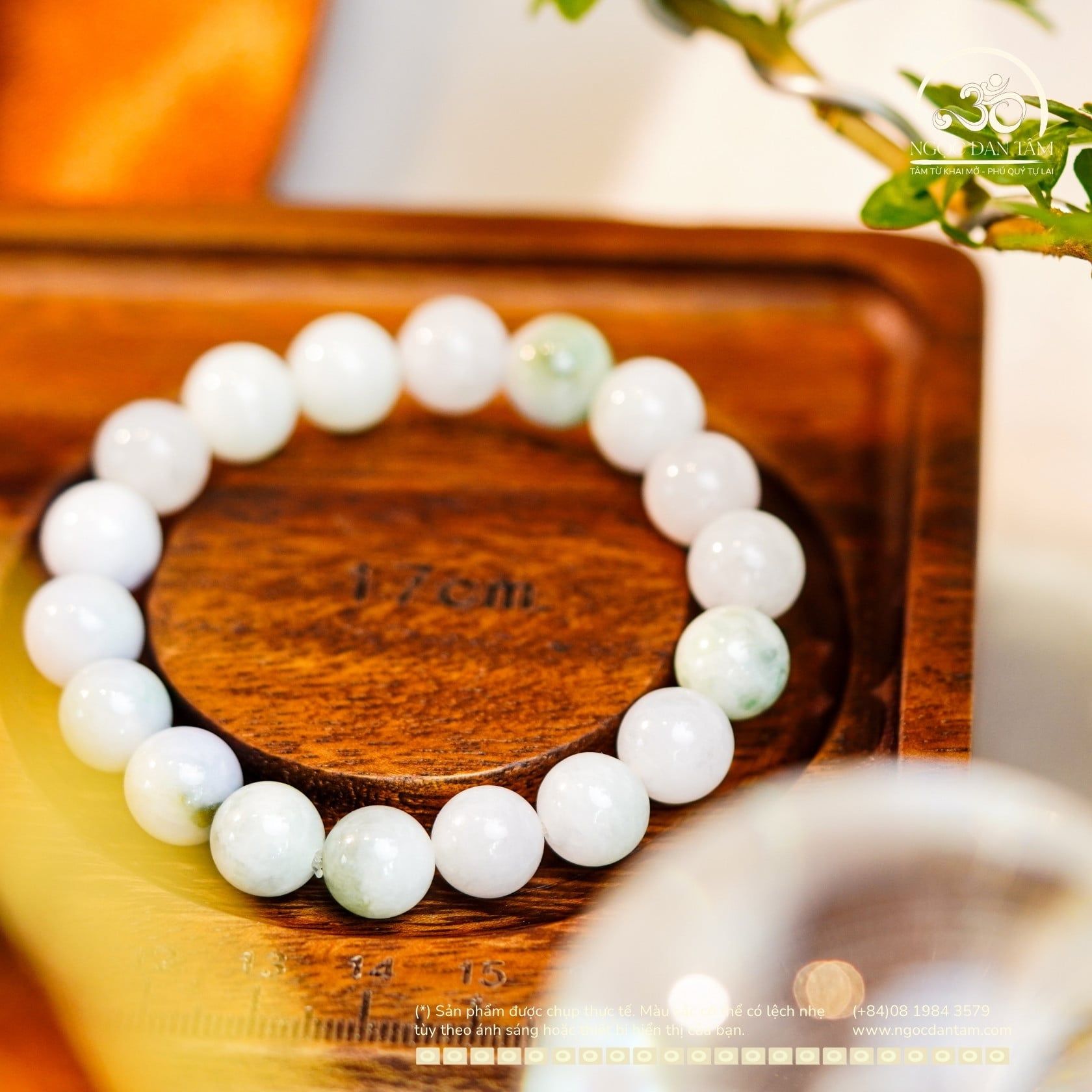  Vòng Tay Cẩm Thạch Sơn Thủy 10mm 6A (PLAB 359719) 