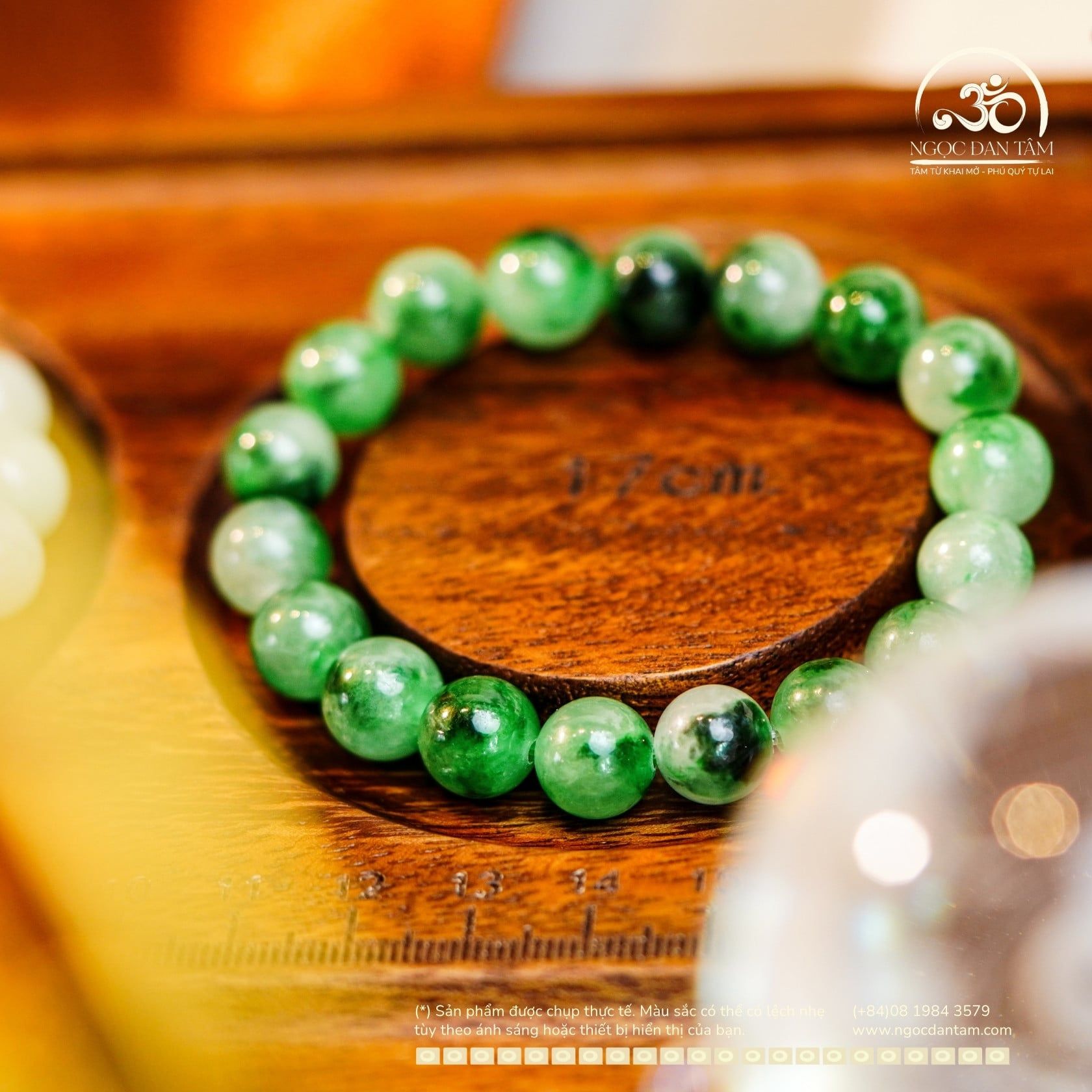  Vòng Tay Cẩm Thạch Sơn Thủy 10mm 6A (PLAB 359706) 