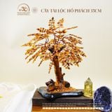  Cây Tài Lộc Hổ Phách 35cm 