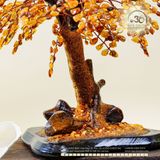  Cây Tài Lộc Hổ Phách 35cm 