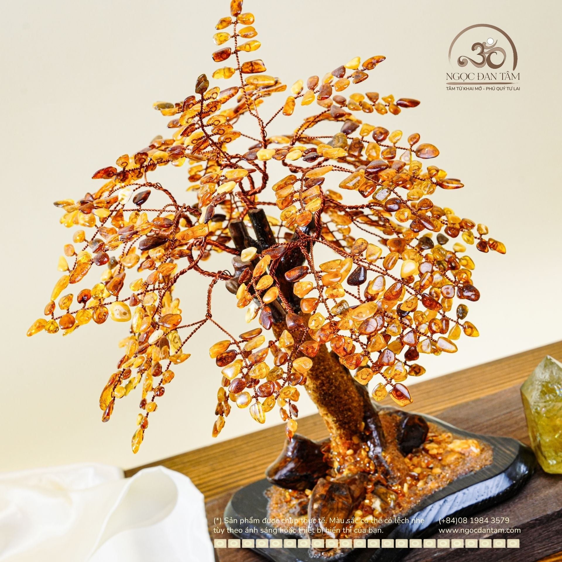  Cây Tài Lộc Hổ Phách 35cm 