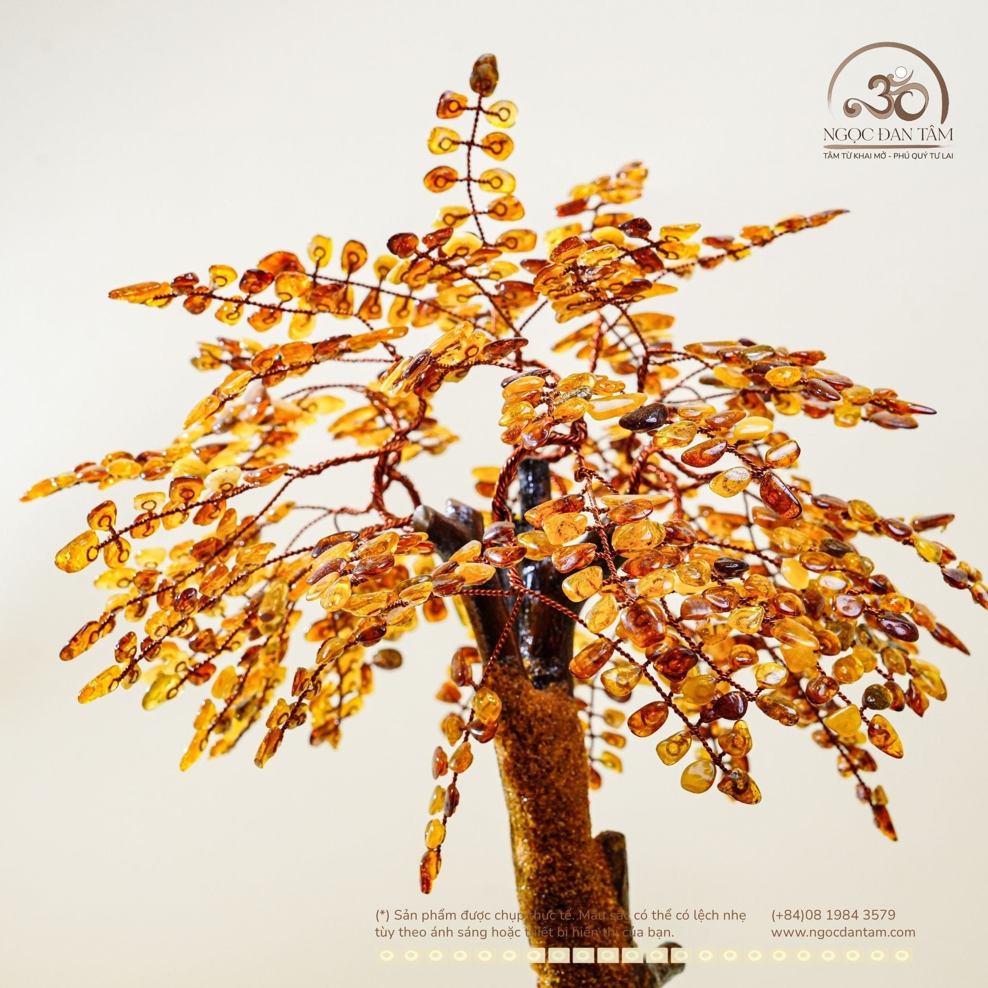  Cây Tài Lộc Hổ Phách 35cm 