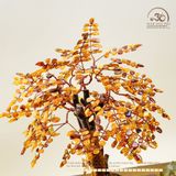  Cây Tài Lộc Hổ Phách 35cm 