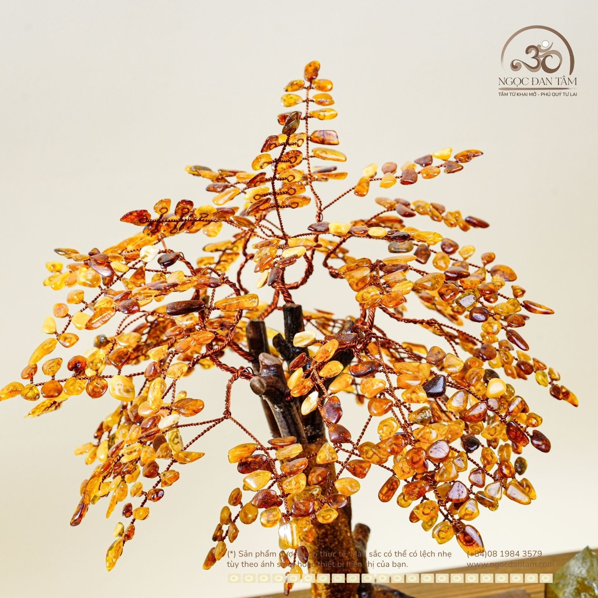  Cây Tài Lộc Hổ Phách 35cm 