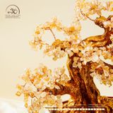  Cây Tài Lộc Thạch Anh Vàng 