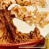  Cây Tài Lộc Thạch Anh Vàng 