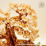  Cây Tài Lộc Thạch Anh Vàng 