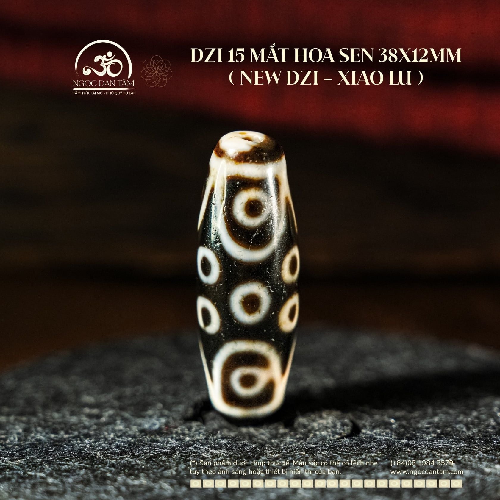  Dzi 15 Mắt Hoa Sen 38x12mm ( New Dzi - Xiao Lu ) 