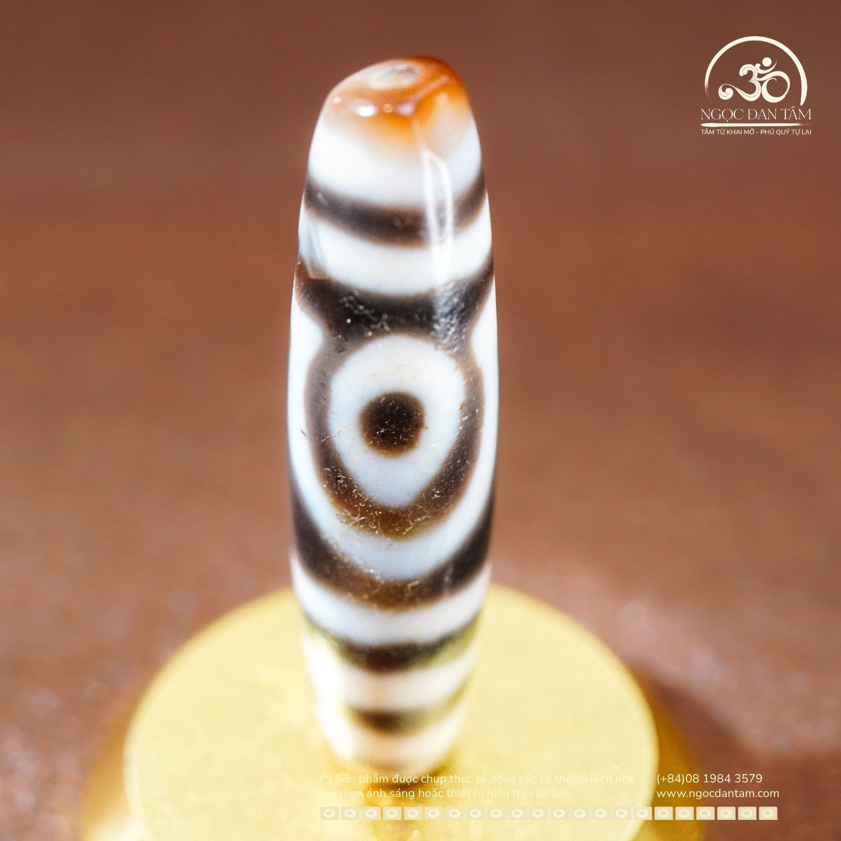  Dzi 2 Mắt 51x13mm (New Dzi - Xiao Lu) 