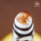  Dzi 2 Mắt 51x13mm (New Dzi - Xiao Lu) 