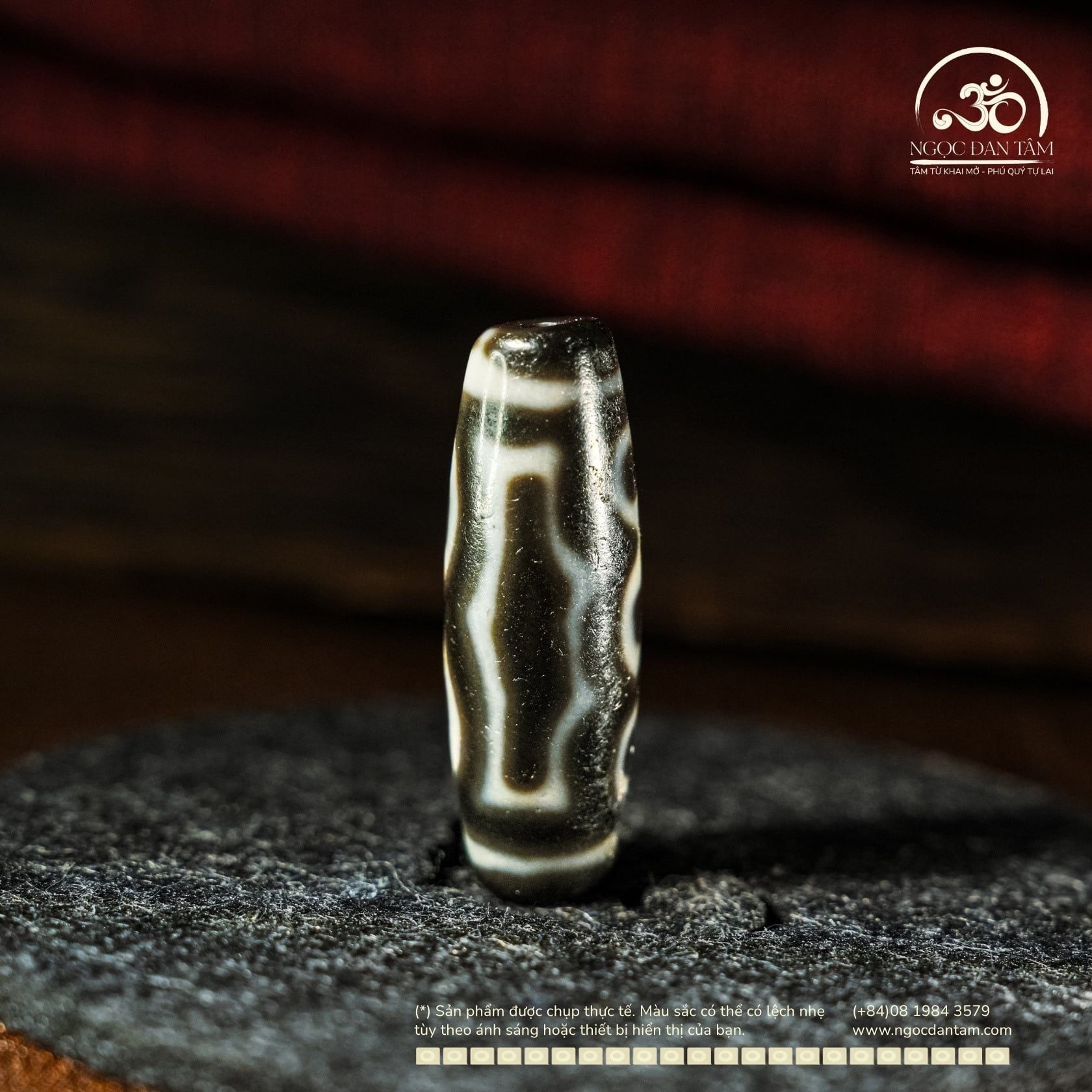  Dzi 5 Mắt 36x12mm ( New Dzi - Xiao Lu ) 