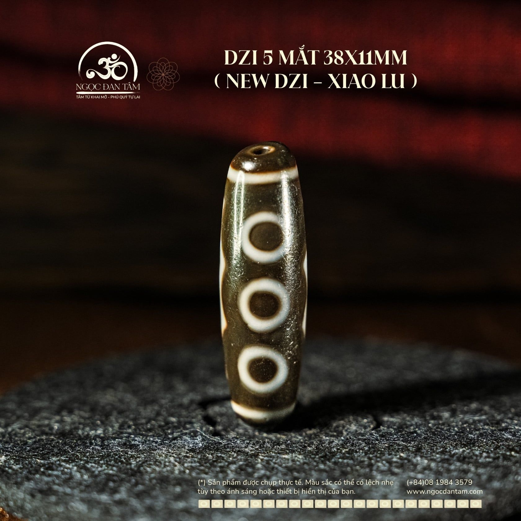  Dzi 5 Mắt 38x11mm ( New Dzi - Xiao Lu) 