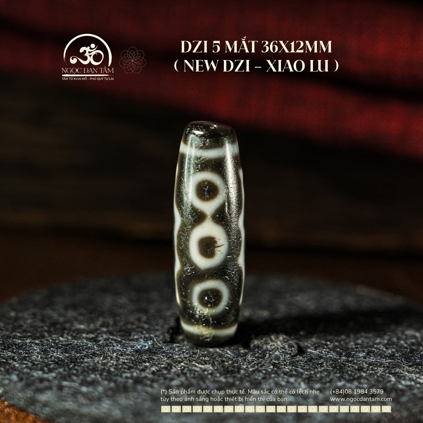  Dzi 5 Mắt 36x12mm ( New Dzi - Xiao Lu ) 
