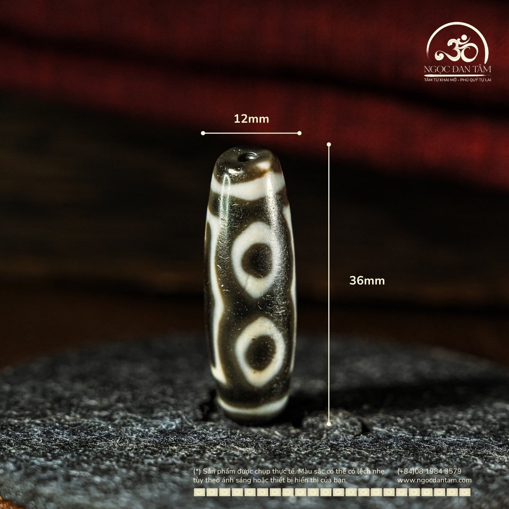  Dzi 5 Mắt 36x12mm ( New Dzi - Xiao Lu ) 