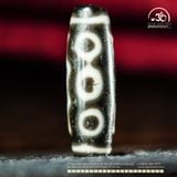  Dzi 5 Mắt 36x12mm ( New Dzi - Xiao Lu ) 